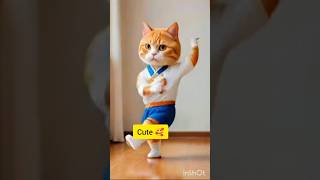 Cat beautiful dance 😻  dancingcatcutecat shorts catvideos [upl. by Theresita]