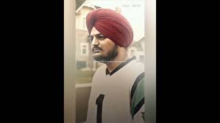 ripSidhu Moose walaBapuPunjabi songSidhu shortviraltrending [upl. by Atikam]