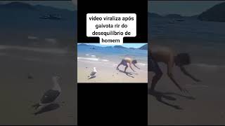 A felicidade da gaivota reels humor rota memes trechosdeseries comedia rotafilmes chuvas [upl. by Starks557]