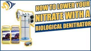 How to Lower Your Nitrate with a Biological Denitrator [upl. by Tonneson]