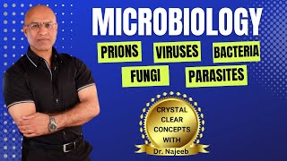 Microbiology  Prions Viruses Bacteria Fungi amp Parasites👨‍⚕️ [upl. by Aztinay]