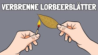 DAS passiert wenn du Lorbeerblätter verbrennst [upl. by Clausen]