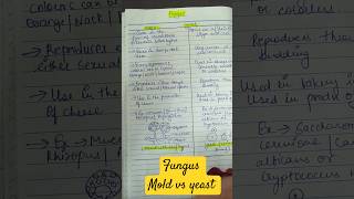 fungus mold vs yeast microbiology mycology handwritten differentiation easy to learn ytshorts [upl. by Ab223]