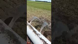 irrigation with hose spray irrigation layflat hose shorts relaxing flower lawn [upl. by Vano]