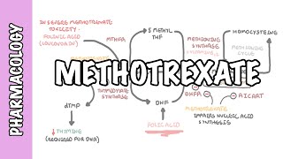 Methotrexate  Pharmacology DMARDs mechanism of action side effects [upl. by Aisayt]