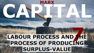 Understanding Marxs Capital Volume 1 Chapter 7  Labour and Producing SurplusValue Section 1 [upl. by Sheedy]