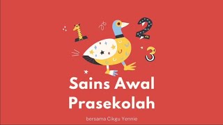 Mengenal saiz objek l Sains Awal Prasekolah [upl. by Siulegroj]