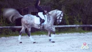 Les Eternelles Horse show Last Teaser [upl. by Tri111]