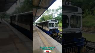 SLRailwayRail Bussරේල් බසයGanewaththa Station railbus srilankanrailway [upl. by Janis]