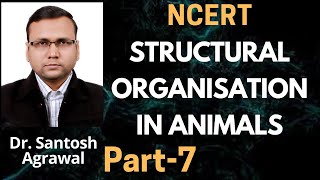 Structural Organisation in animals NCERT chapter 7 part 7 biology [upl. by Dorene]