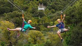 The Best of Waiheke Ziplining Wine Tasting and Vineyard Lunch [upl. by Tennes30]