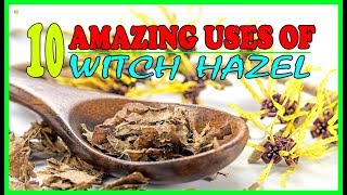 10 Amazing Uses For Witch Hazel You Must Try  Witch Hazel Benefits  Best Home Remedies [upl. by Maisel]