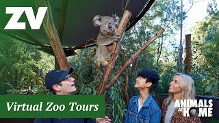 Virtual Tour of Healesville Sanctuary [upl. by Noremak]