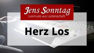 Herz Los  Wincent Weiss  InstrumentalCover [upl. by Hurwitz373]