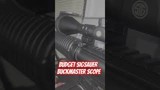 Budget Rifle Scope shortsfeed helpmegetto1ksubs [upl. by Eiveneg]