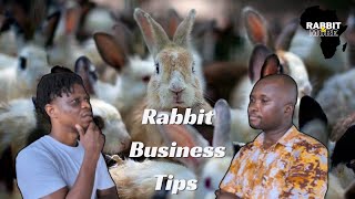 How to make the Rabbit Farming Business Successful  Rabbit farming in Ghana [upl. by Anirrok]