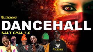 Dancehall Mix 2024 Clean Dancehall Songs 2024 │ SALT GYAL Masicka Chronic Law Alkaline Valiant [upl. by Cut683]