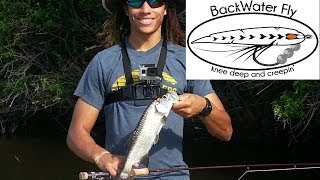 BackwaterflyCentral Florida Fly Fishing Tarpon Blue Tilapia [upl. by Tullusus]