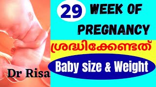 Pregnancy Week by Week Malayalam  29 Week of Pregnant [upl. by Ariaz465]