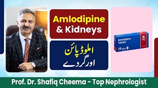 Amlodipine amp Kidneys [upl. by Inaoj]