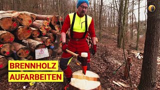 Holter die Polter Aufarbeiten von Brennholz mit STIHL MS 500i amp Halder Simplex Spalthammer [upl. by Nosemyaj]