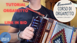 Lezione tarantella calabrese con l’organetto Tutorial organetto Impara con noi [upl. by Medardas341]