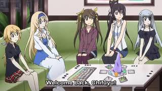 Infinite Stratos  They sound like a married couple [upl. by Atikal601]