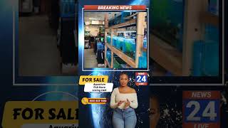 Aquarium Fish Store For Sale sben smallbusiness [upl. by Veradi930]