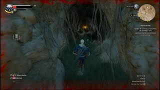 The Witcher 3 Fort Ussar Ruins Slyzards Place Of Power Cave PS4 Pro [upl. by Gualtiero]