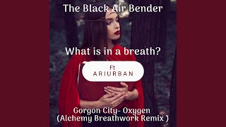 Whats in a breath Gorgon City Oxygen feat Ari Urban Alchemy Breathwork Remix [upl. by Areval]