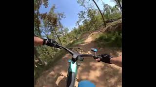 Bentonville AR  Coler MTB Park  Fire Line run [upl. by Reel37]