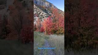 Capitol Reef National Park [upl. by Sapphera]