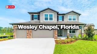 Epperson Lagoon in Wsley Chapel Florida Community Update and Home Tour [upl. by Obe]