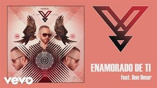 Yandel  Enamorado de Ti Audio ft Don Omar [upl. by Hannaj]