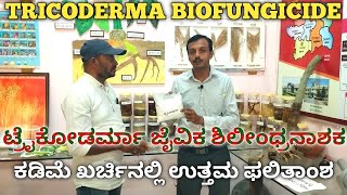 How to use tricoderma  bio fungicide  seed treatment with tricoderma  ಟ್ರೈಕೊಡರ್ಮಾ ಶಿಲೀಂದ್ರನಾಶಕ [upl. by Ayit324]