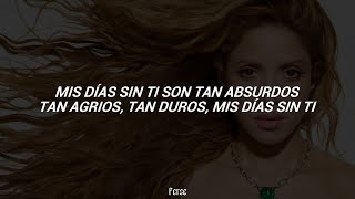 Shakira  Moscas en la Casa Letra [upl. by Leind848]