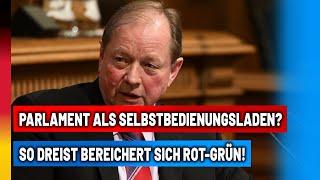 AfDChef schimpft über Gierschlund der Altparteien – nur die AfD lehnt mehr Kohle ab [upl. by Loleta]