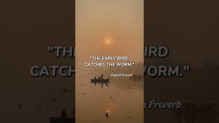 Why the Early Bird Proverb is Wrong shorts quotes [upl. by Younger]