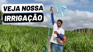 Mostrando nossa irrigação  Cisterna motobombas aspersão e gotejamento [upl. by Argella821]