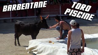 BARBENTANE TORO PISCINE 27052017 🐮 [upl. by Ocirderf223]