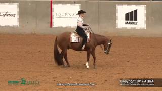 A Judges Perspective 2017 AQHA Select Western Horsemanship World Champion [upl. by Grizelda]