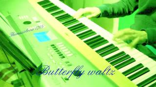 Butterfly waltz on piano Brian Crain [upl. by Ellett249]