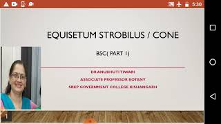 Equisetum strobilus [upl. by Blandina]