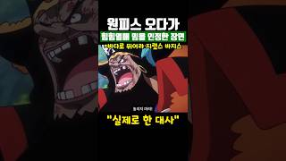 원피스 오다가 힘힘열매밈을 인정한 사례 ㅋㅋ [upl. by Lilyan463]