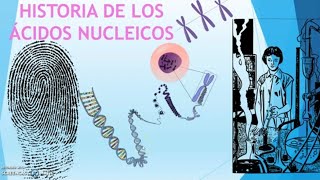 HISTORIA DE LOS ÁCIDOS NUCLEICOS [upl. by Gayler]