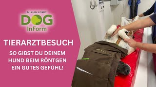 So gibst du deinem Hund beim Röntgen beim Tierarzt ein gutes Gefühl [upl. by Farman486]