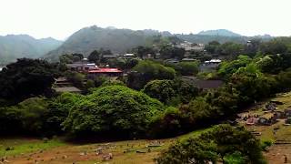 Lookout point to Pacific heights Pauoa valley in Honolulu Hawaii [upl. by Dalt]