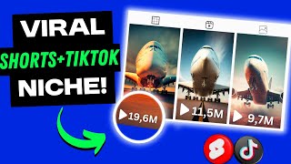 This New Best Niche can Make upto 800 per Day Youtube  Tiktok Niche [upl. by Aicnelev]