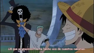 Luffy le dice a Zoro que Brook es el nuevo nakama [upl. by Eeldivad]