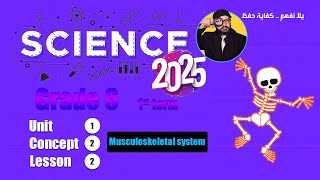 2025 Science for grade 6 lesson 2 musculoskeletal system [upl. by Hanahsuar]